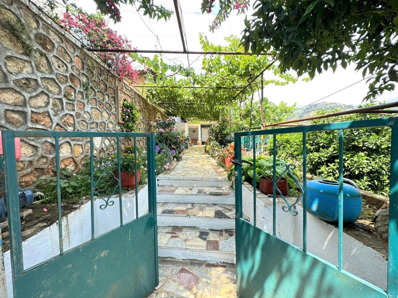 Boungainvillea Himarë Exterior foto